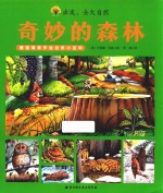 出发 去大自然 奇妙的森林