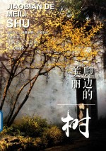 脚边的美丽 树