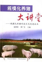 规模化养猪大讲堂 规模化养猪的误区及改进技术