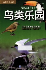 鸟类乐园