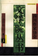 四川作家协会 文学院丛书 3 小说卷