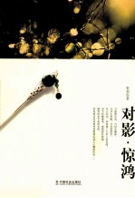 对影 惊鸿