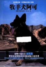 牧羊犬阿可