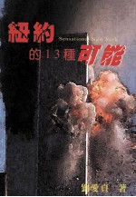 纽约的13种可能