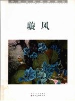 中国当代画家画丛 璇风