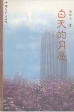 白天的月亮