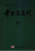 考古学集刊 17