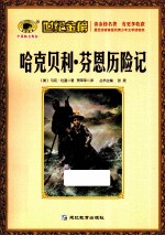 哈克贝利 芬恩历险记
