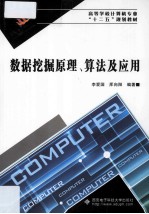 数据挖掘原理、算法及应用