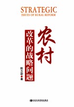 农村改革的战略问题