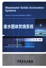 废水固体焚烧系统