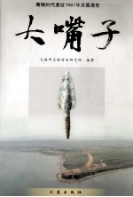 大嘴子 青铜时代遗址1987年发掘报告