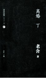 老舍作品集 离婚 丁