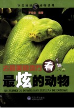去最美的地方,看最炫的动物
