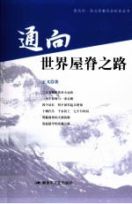 通向世界屋脊之路