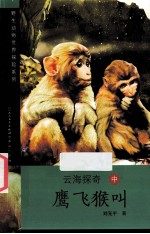云海探奇 中 鹰飞猴叫