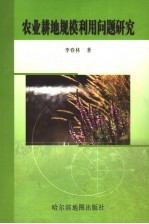 农业耕地规模利用问题研究