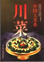 中国大菜系 川菜 图集
