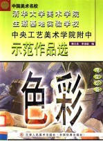 中央工艺美术学院附中示范作品选 色彩