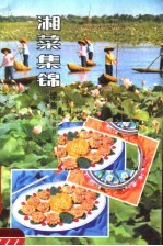 湘菜集锦 续集