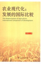 农业现代化:发展的国际比较