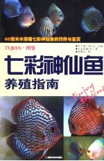 七彩神仙鱼养殖指南
