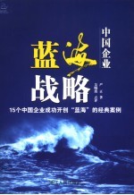 中国企业蓝海战略