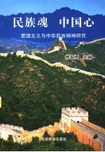 民族魂 中国心 爱国主义与中华民族精神研究