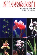 养兰小经验小窍门