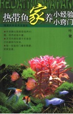 热带鱼家养小经验小窍门