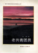 老共青团员