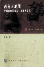 西南天地间 中国西南的考古 民族与文化
