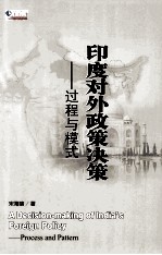 印度对外政策决策 过程与模式