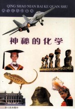青少年百科全书 10 神秘的化学