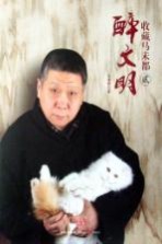 醉文明 收藏马未都 2