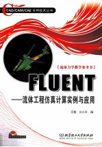 FLUENT 流体工程仿真计算实例与应用