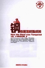 中小学语文新课标必读丛书 钢铁是怎样炼成的
