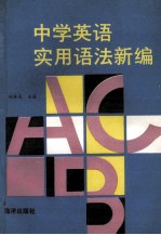 中学英语实用语法新编