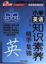 小学英语知识素养精华集锦 精华版