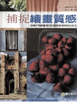 捕捉绘画质感 各种不同绘画媒材的质感表现与综合技法