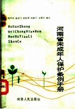 河南省未成年人保护条例手册