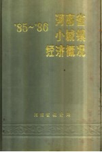 河南省小城镇经济概况 1985-1986
