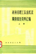 河南省职工队伍状况调查报告资料汇编 上