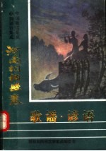 中国歌谣集成 中国谚语集成 河南桐柏县卷 合订册