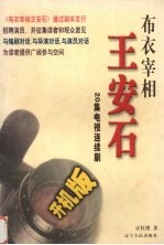 布衣宰相王安石 20集电视连续剧