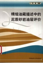 精细油藏描述中的泥质砂岩油层评价