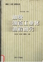 加快湖南工业化进程研究