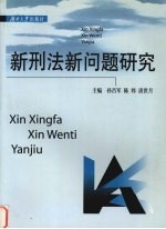 新刑法新问题研究