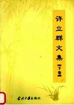 许立群文集 下