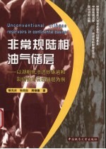 非常规陆相油气储层:以湖相低渗透砂砾岩和裂缝性白云岩储层为例